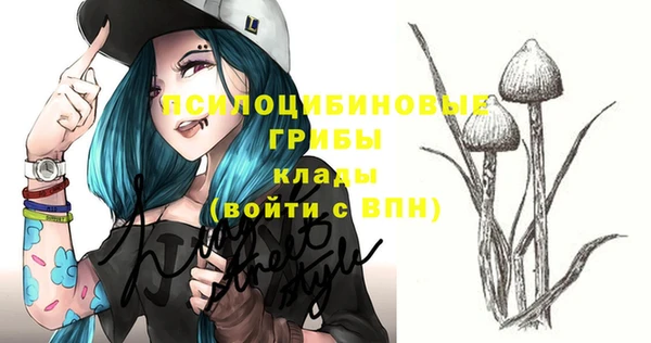 apvp Кинешма